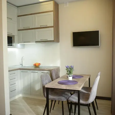 Apartment-lviv * Lviv