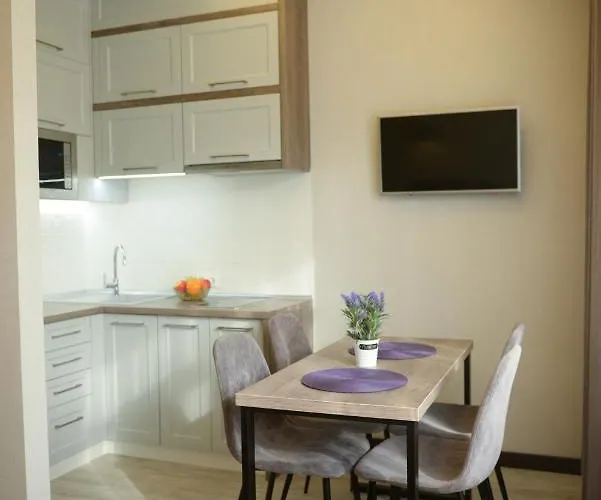 Apartment-lviv * Lwów